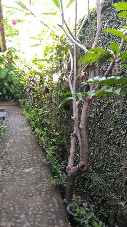 Warung Santa Fe&Bungalows Amed  Bagian luar foto